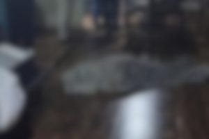 Idoso morre após se engasgar enquanto chupava uma laranja em Goiás