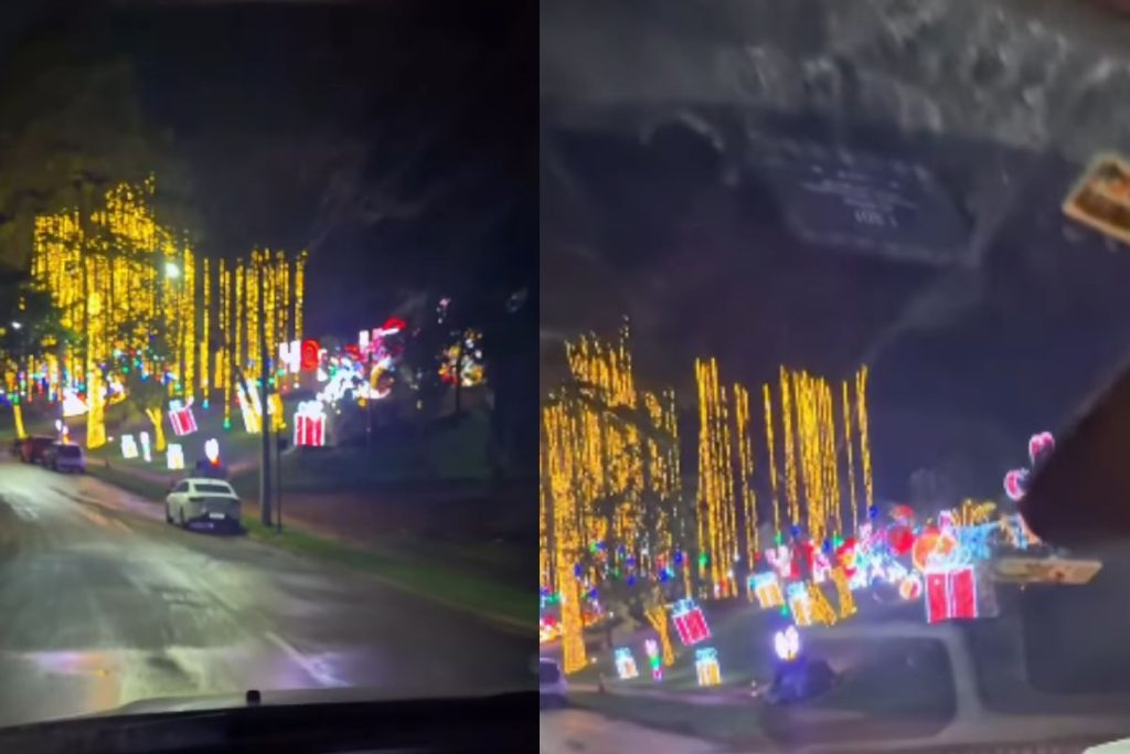 Médico de Goiânia se impressiona ao ver decoração de Natal da casa da Virginia