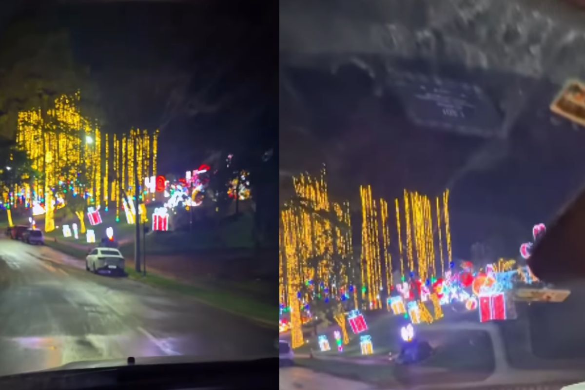 Médico de Goiânia se impressiona ao ver decoração de Natal da casa da Virginia