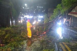 Ciclone deixa 2 milhões de clientes sem energia em São Paulo