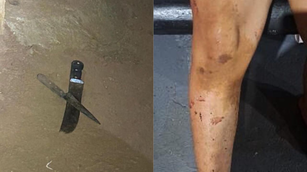 Mulher é detida pela PM após matar o próprio irmão em Rio Verde