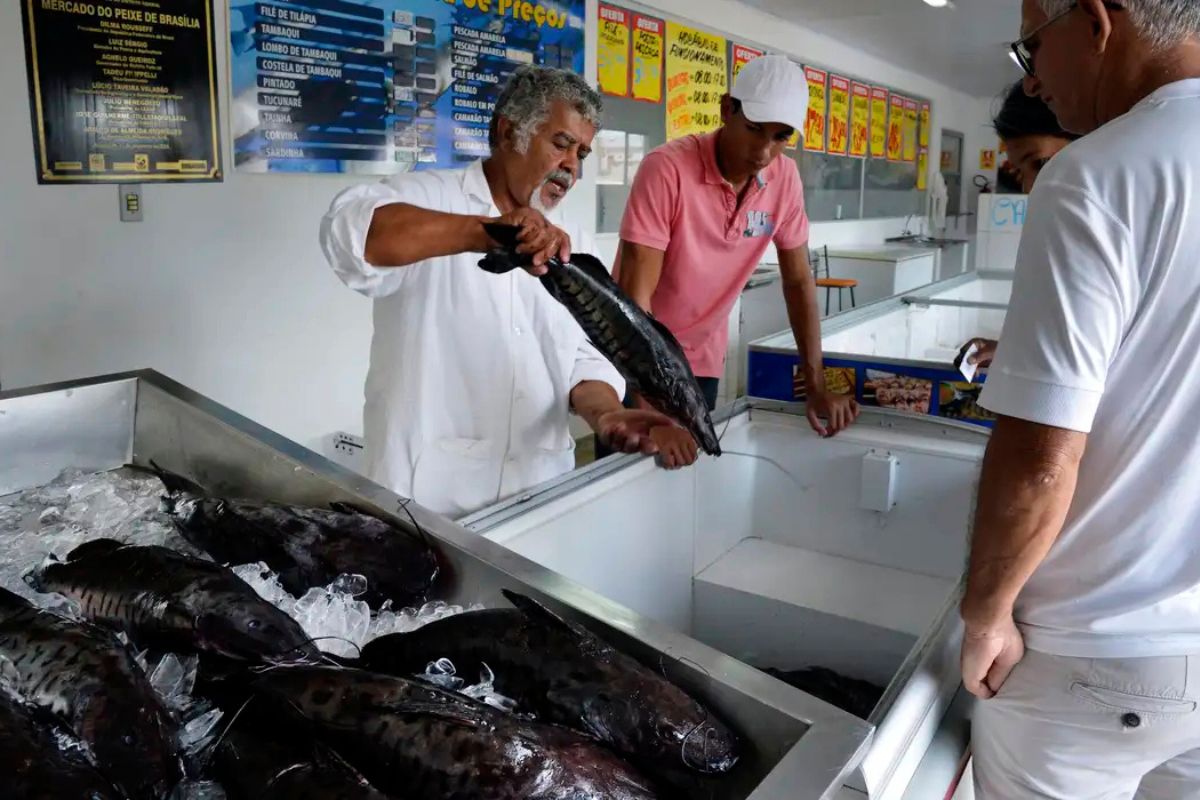 O peixe que, ao lado do patinho e do peito de frango, está entre as melhores escolhas para o mês