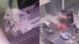 Casal é denunciado por atos obscenos na frente de criança em condomínio de Goiânia