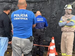 Gato foi descoberto pela Polícia Civil. (Foto: Divulgação)