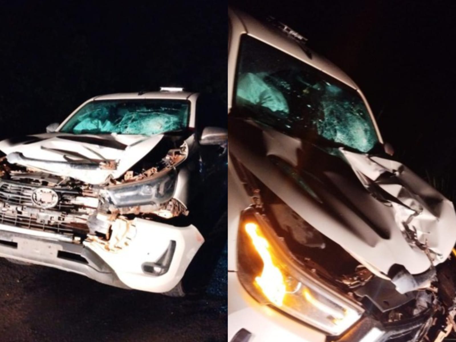 Atopelamento foi tão forte que deformou o para-choque do automóvel. (Foto: Reprodução)