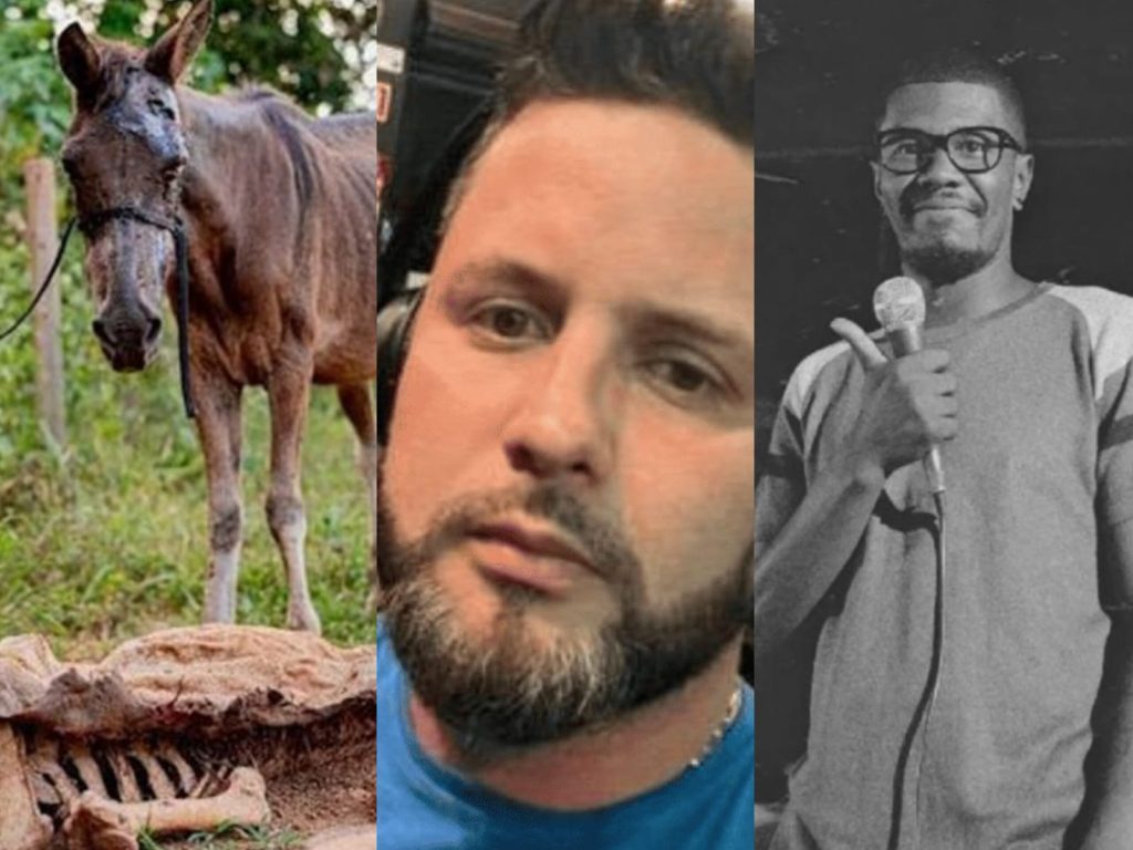 Diversos crimes violentos e cruéis marcaram o ano de 2025 em Anápolis. (Foto: Reprodução)