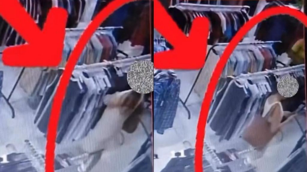Vídeo flagra furto em loja