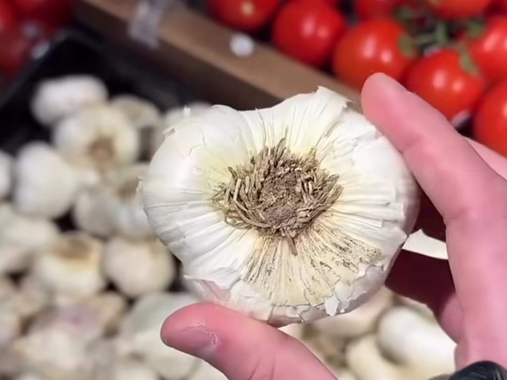 O segredo para escolher alho no mercado e levar sempre os dentes mais frescos