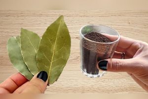 6 simpatias para atrair prosperidade e sorte no Ano Novo