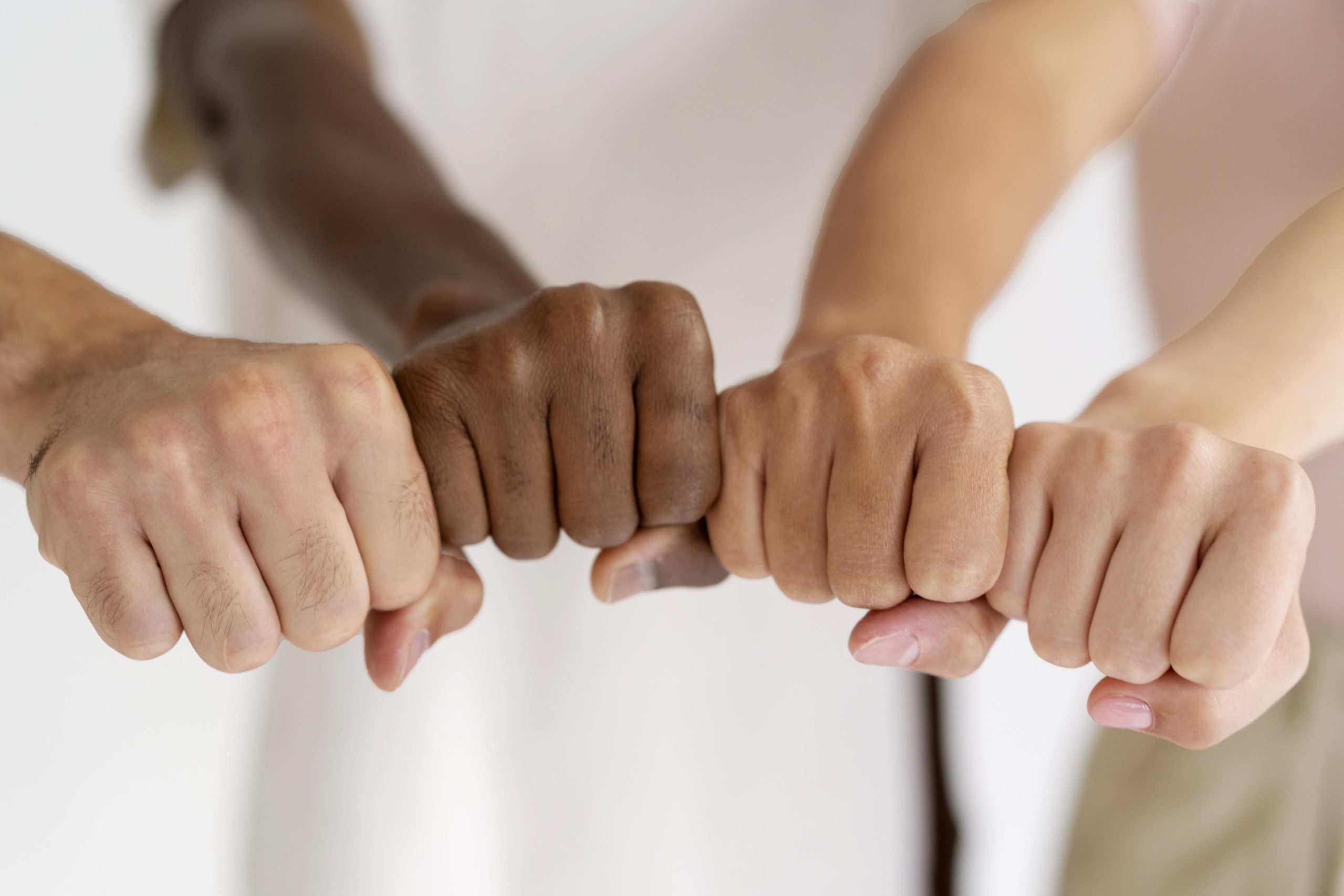 SC: Assembleia proíbe cotas raciais em universidades estaduais