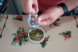 Se você tem caroços de azeitona em casa, pode ter um tesouro: veja por que e como reutilizá-los