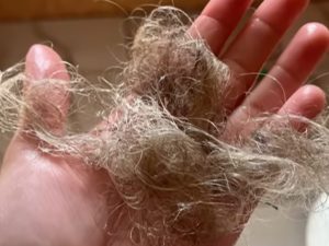 Cliente relata dano no cabelo após passar quase 11 horas em salão para fazer luzes