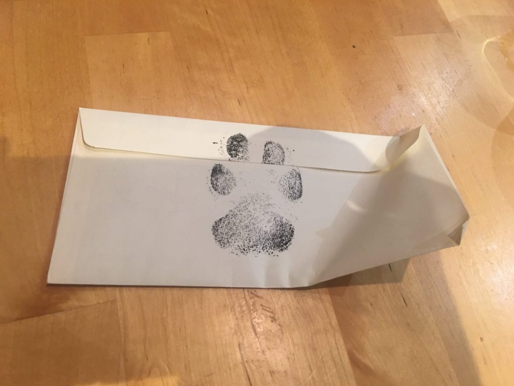 Rapazes escrevem carta para vizinha e se surpreendem com resposta