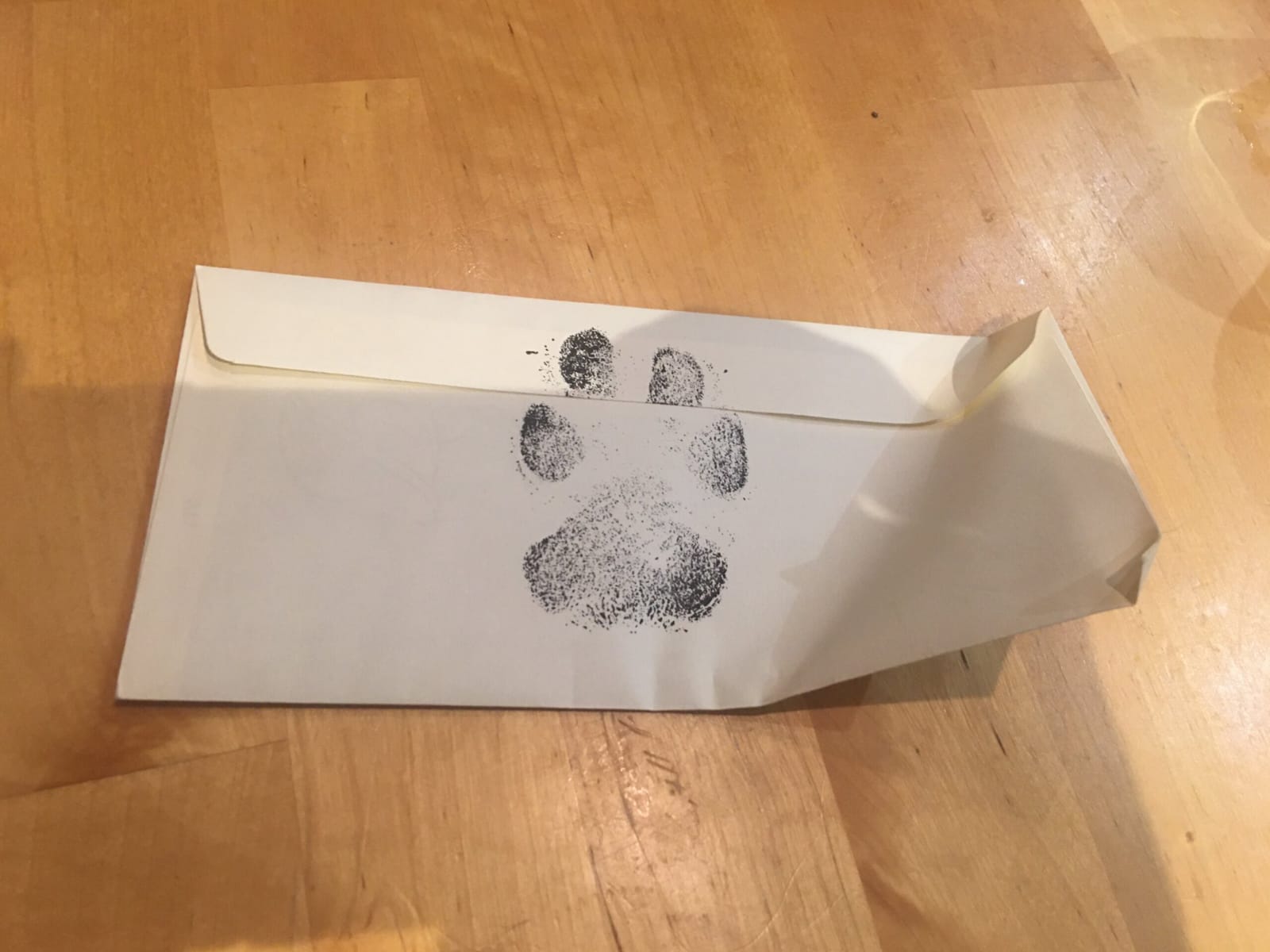 Rapazes escrevem carta para vizinha e se surpreendem com resposta