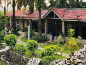 Conheça a casa de idosos que se tornou lar de aposentadoria para a geração Z, sem metas de produtividade