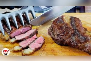 Descubra qual é a melhor temperatura da grelha para um bom churrasco