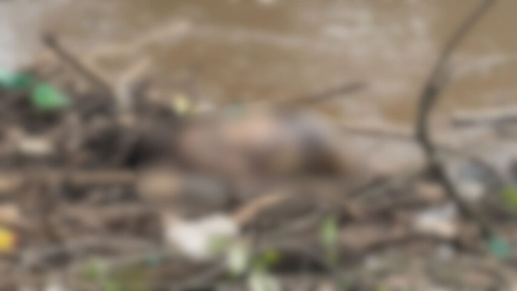 Corpo foi encontrado às margens do Rio das Antas, em Anápolis.