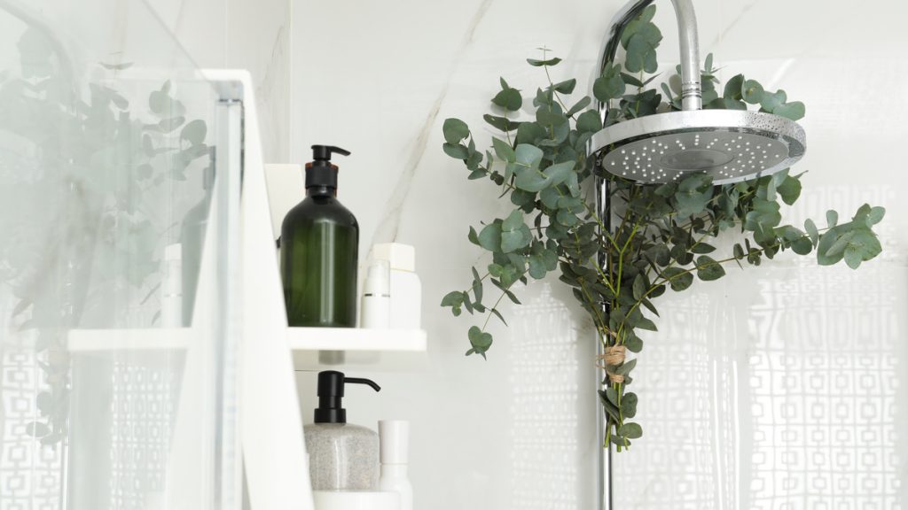 ramos de eucalipto no chuveiro