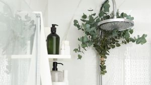 ramos de eucalipto no chuveiro