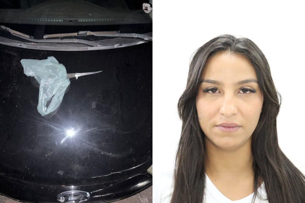 Homem que arrombou porta e matou esposa com golpe fatal tinha esquizofrenia, diz pai