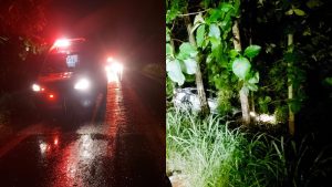 Jovem morreu ao sair de pista na GO-222.