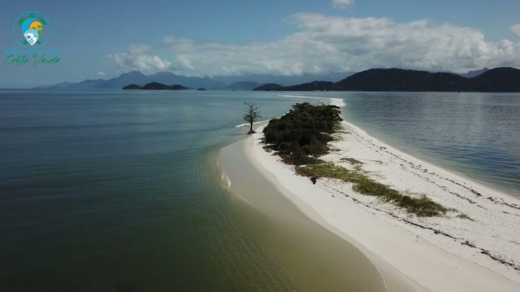 A praia no Rio de Janeiro que reúne dunas e espécies únicas, mas é proibida para turistas