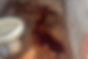 Jovem mata cachorro da família, assa a carne e ameaça fazer o mesmo com a mãe e a avó, em Planaltina