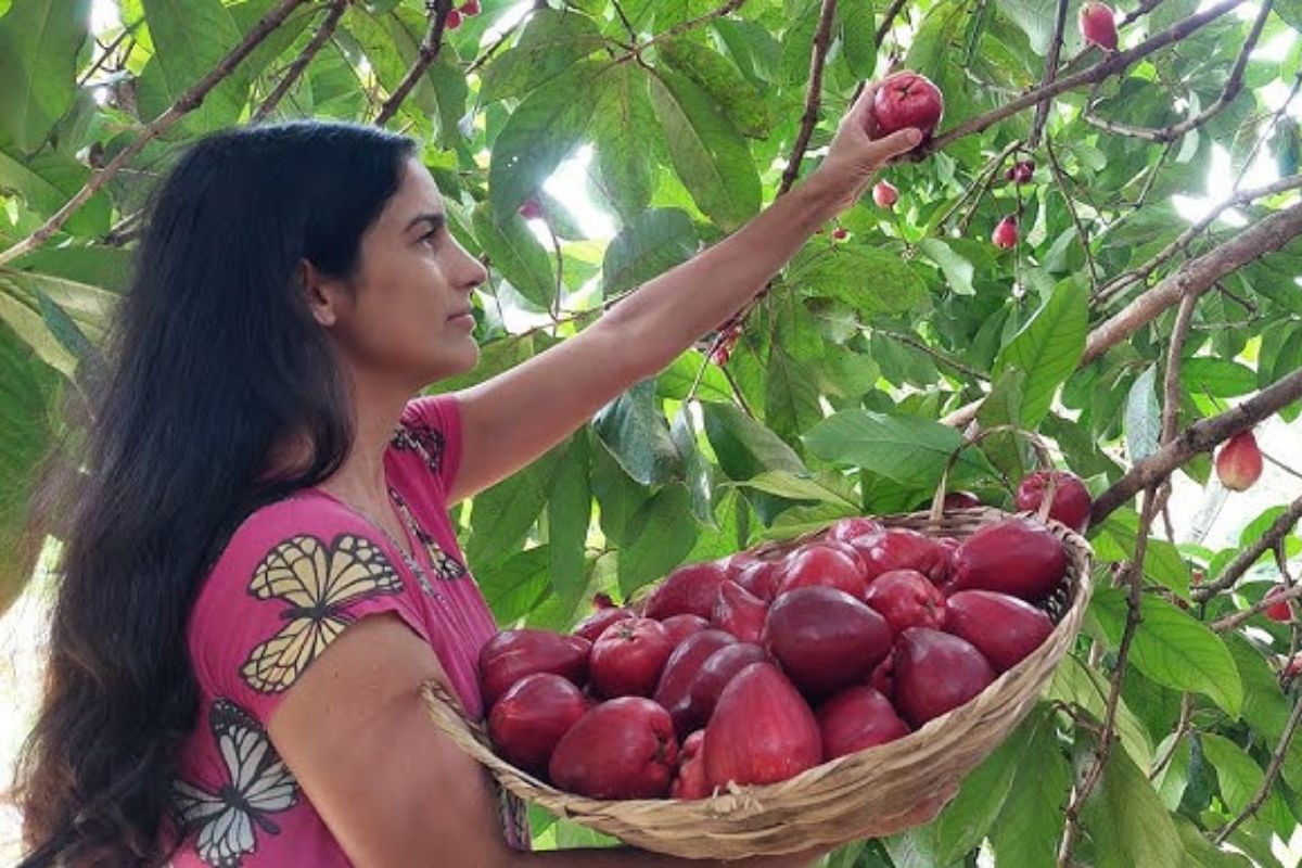 A fruta que protege o coração e ajuda a prevenir infarto é ignorada, mas muito saborosa