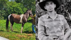 Jovem caiu do cavalo acidente