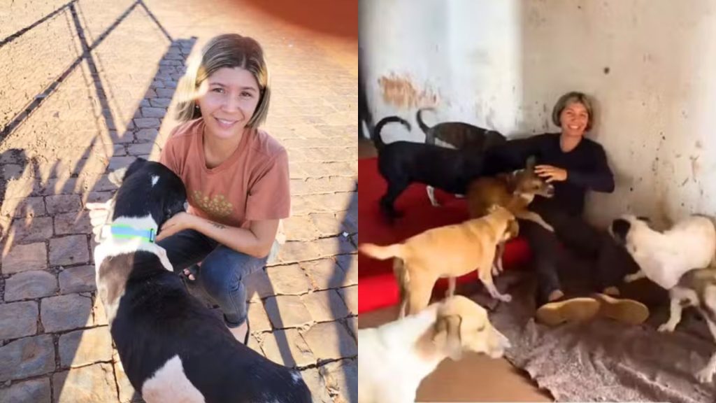 Voluntária da causa animal, Vânia Maria foi a responsável pelas coleiras refletivas.