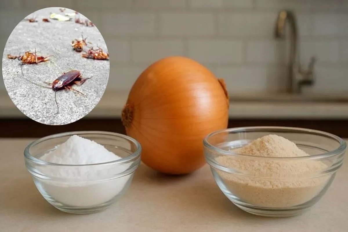 Como misturar cebola e bicarbonato de sódio para acabar com as baratas em casa
