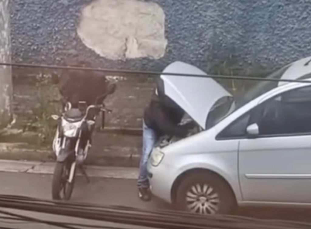Carro da Fiat alvo de furto por peça cara
