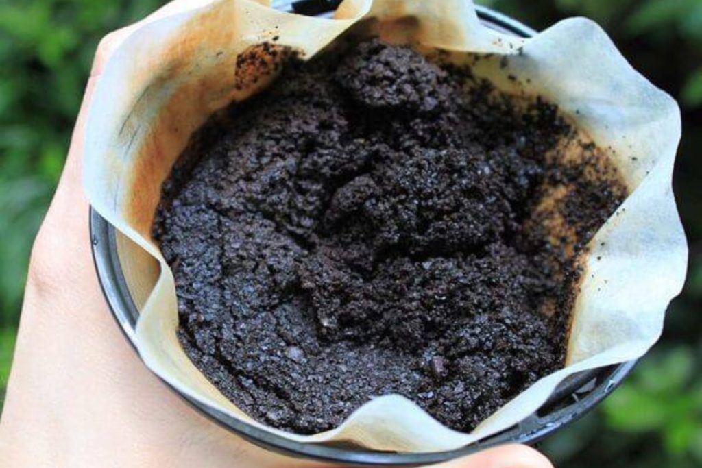 Borra de café pode ser reutilizado para várias coisas