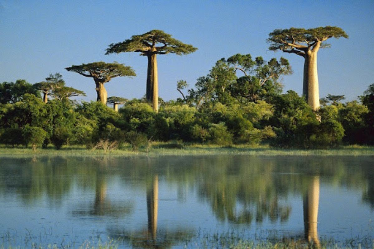 A ilha que abriga segredos ocultos do mundo e vive a 88 milhões de anos isolada