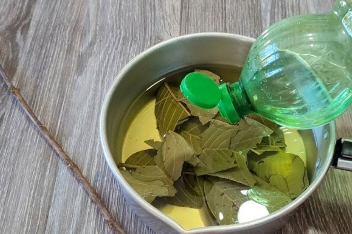 Truque para quebrar qualquer praga que foi lançada em você, segundo a Casa de Zé