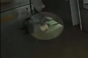 Cachorro é levado por vento durante passagem de tornado no Paraná