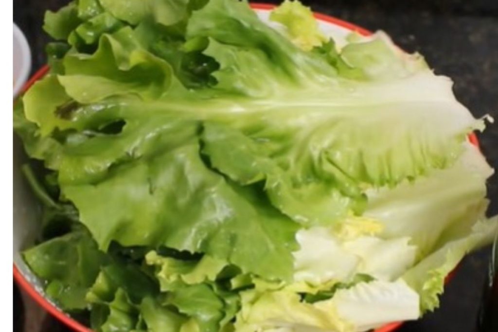 Conheça a folha que elimina gordura pelas fezes