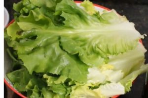 Conheça a folha que elimina gordura pelas fezes