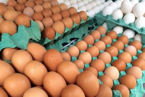 6 alimentos com vitamina D que podem ajudar a melhorar a absorção no organismo