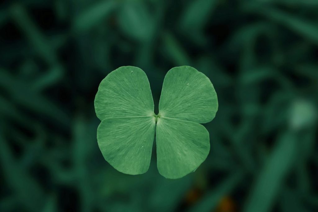 Simpatias para sorte amor e prosperidade