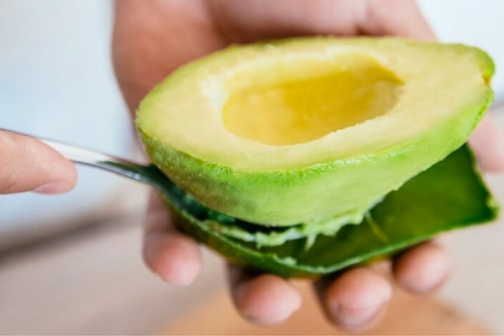 Poucos conhecem a utilidade do abacate