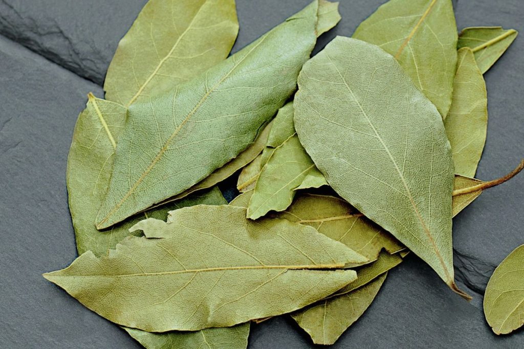 folhas de louro embaixo dos móveis