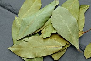 folhas de louro embaixo dos móveis