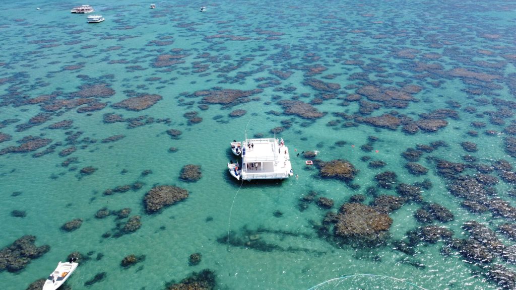 Para quem quer fugir de trânsito, preços altos e aglomeração, algumas praias ainda entregam o que todo mundo procura nas férias: paz, natureza e tempo bem aproveitado