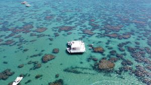 Para quem quer fugir de trânsito, preços altos e aglomeração, algumas praias ainda entregam o que todo mundo procura nas férias: paz, natureza e tempo bem aproveitado