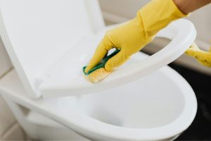 Como deve ser limpo o Assento do vaso