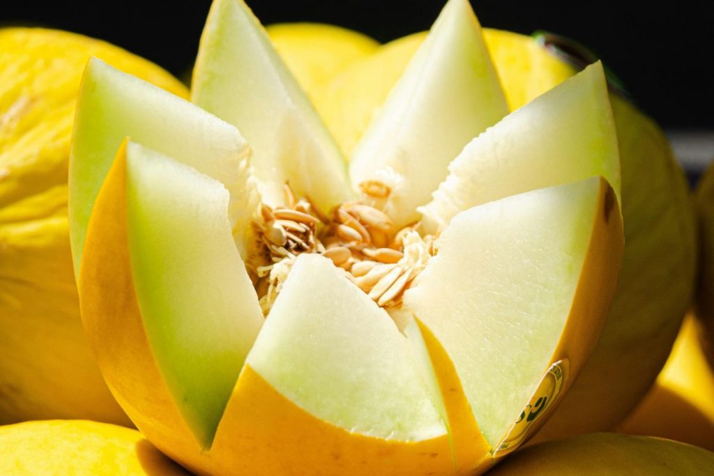 Benefícios da sementes do Melão