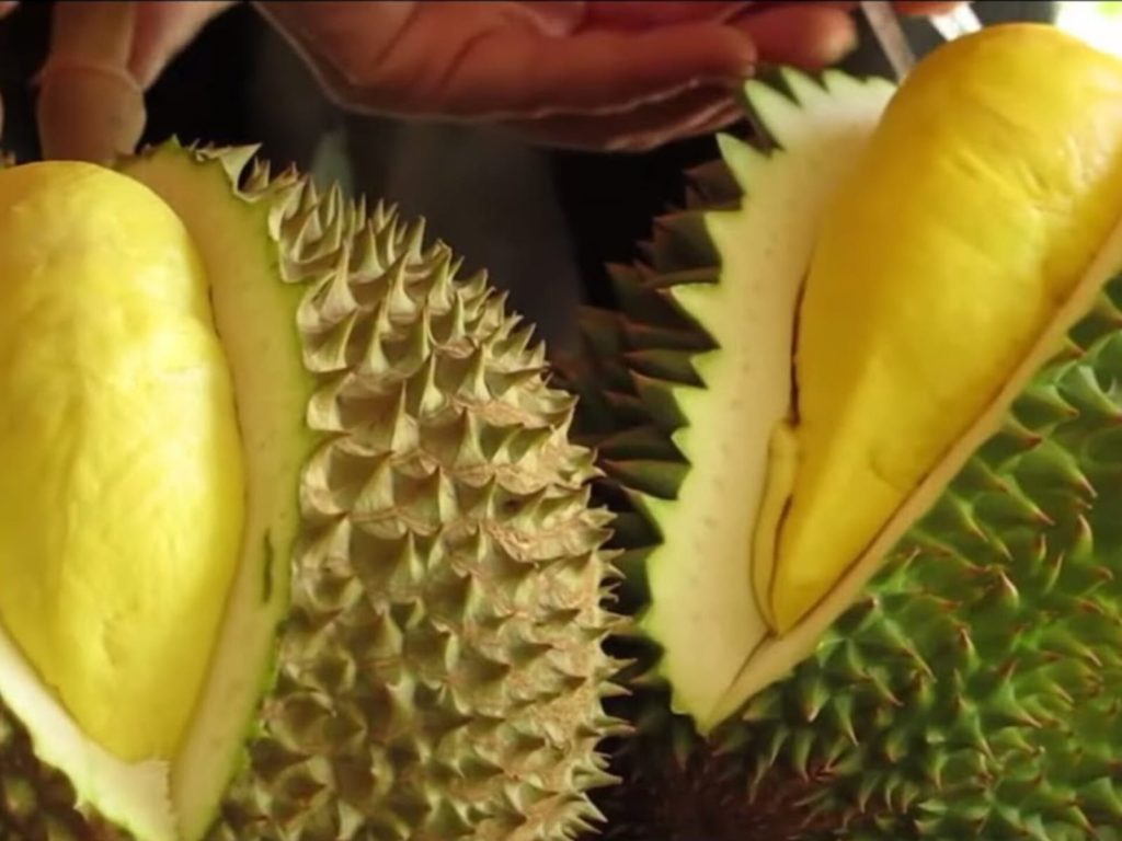 Fruta mais fedida do mundo tem cheiro tão forte que é proibida