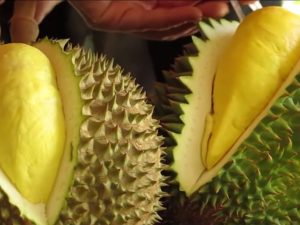 Fruta mais fedida do mundo tem cheiro tão forte que é proibida