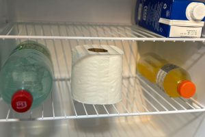 Papel Higiênico suaviza odor na geladeira